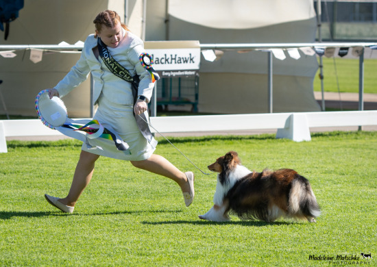 Junior Handler National Final